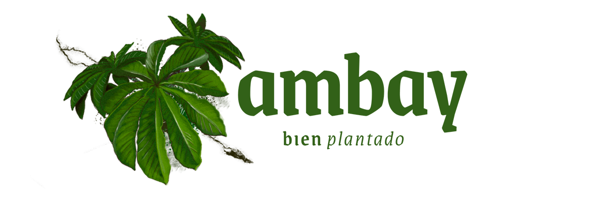 Ambay. Bien plantado.