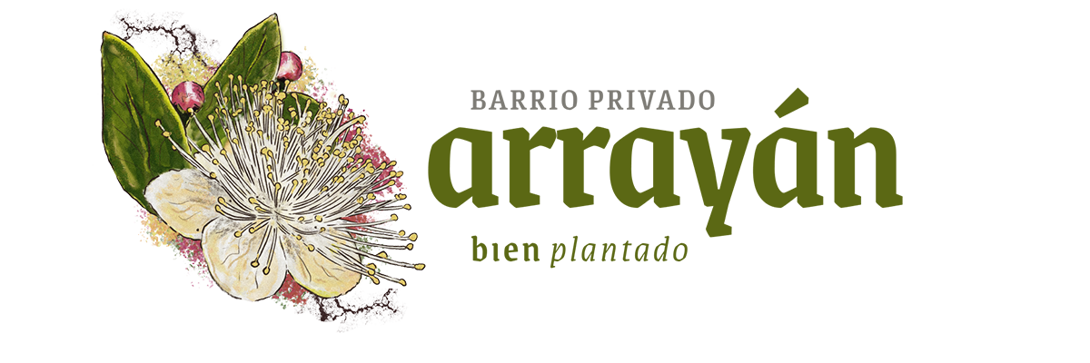 Arrayán. Bien plantado.