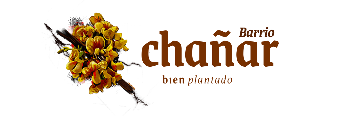Chañar. Bien plantado.