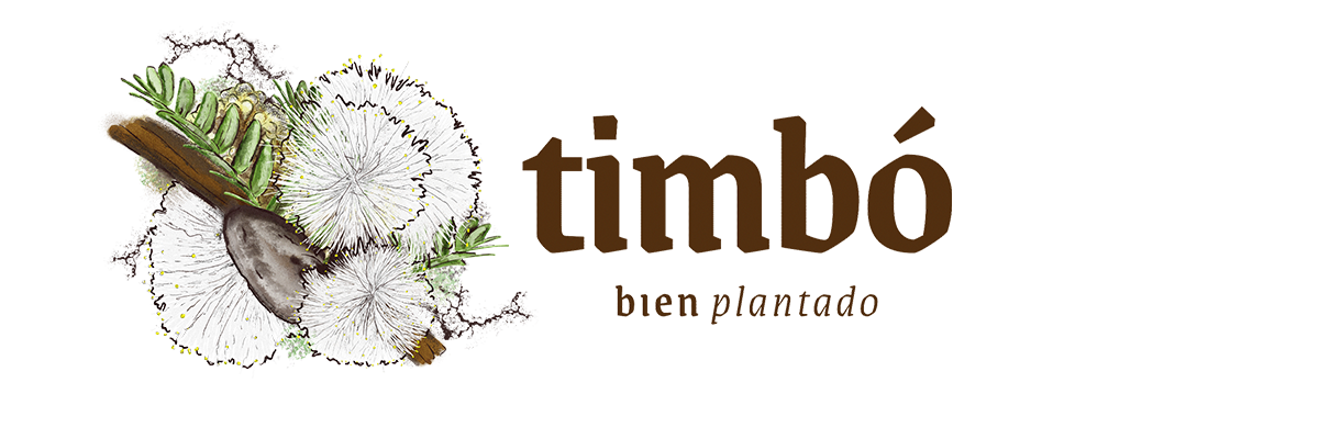 Timbó. Bien plantado.