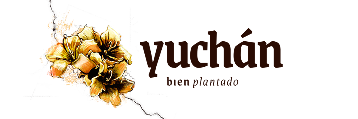 Yuchán. Bien plantado.